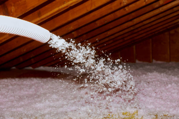 Best DIY Insulation Kits and Guidance in Norfolk, VA