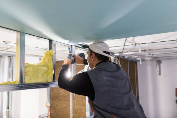 Best Residential Insulation in Norfolk, VA