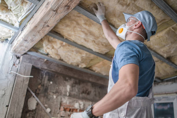 Best Geographic-Specific Insulation Services in Norfolk, VA