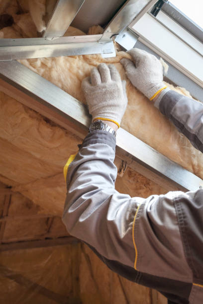 Best Specialized Insulation Services in Norfolk, VA