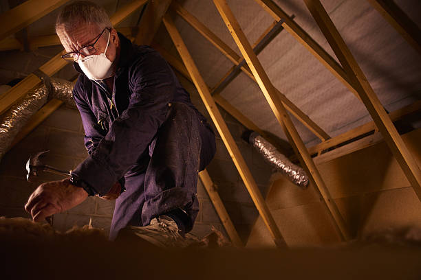 Best Commercial Insulation in Norfolk, VA