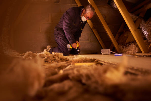 Best Commercial Insulation in Norfolk, VA
